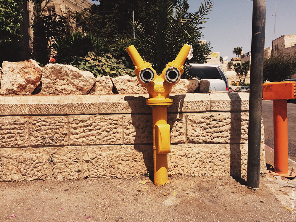 Робот Валл-и на улице в Иерусалиме