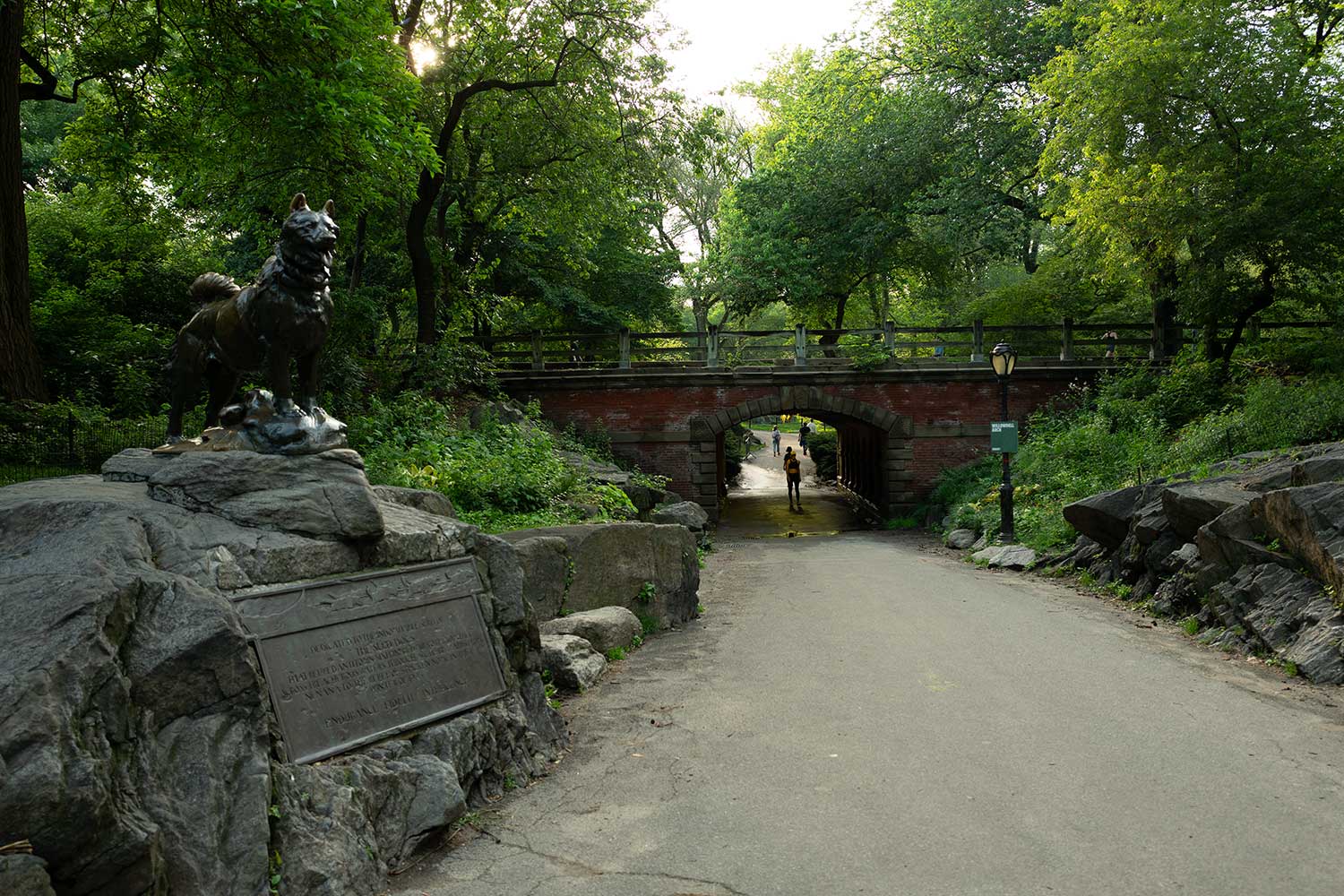 Памятник псу Балто в Центральном парке в Нью-Йорке. Фото: Роман Шавня