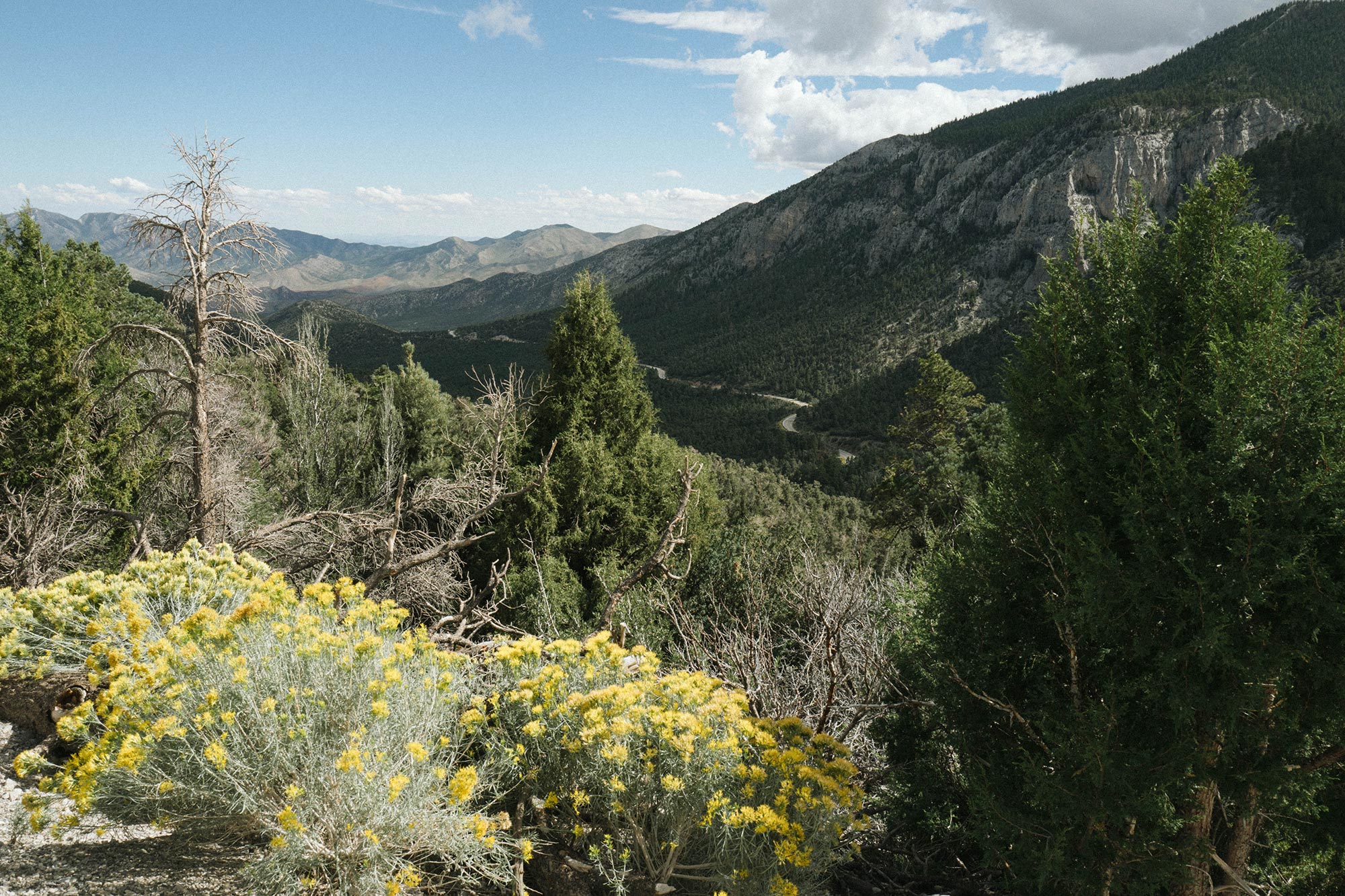 Las-Vegas Spring Mountains.